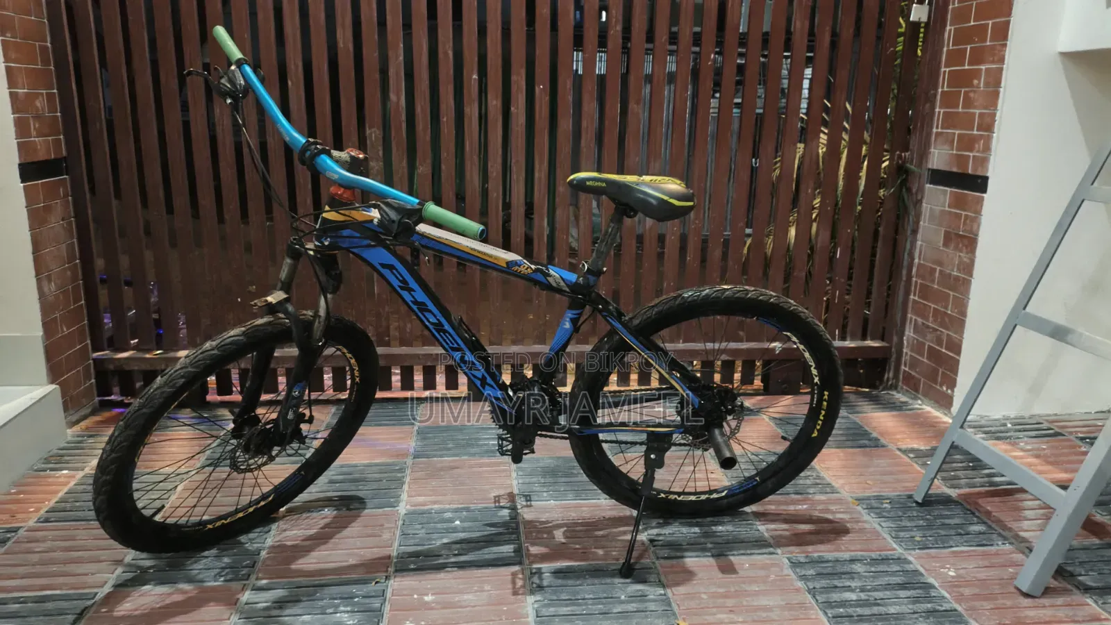 Phoenix Mountain Bike