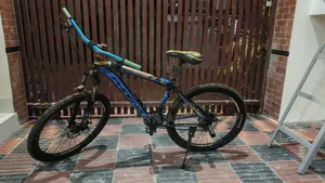 Phoenix Mountain Bike