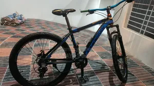 Phoenix Mountain Bike