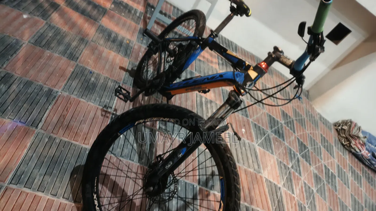 Phoenix Mountain Bike
