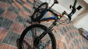 Phoenix Mountain Bike