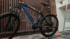 Phoenix Mountain Bike