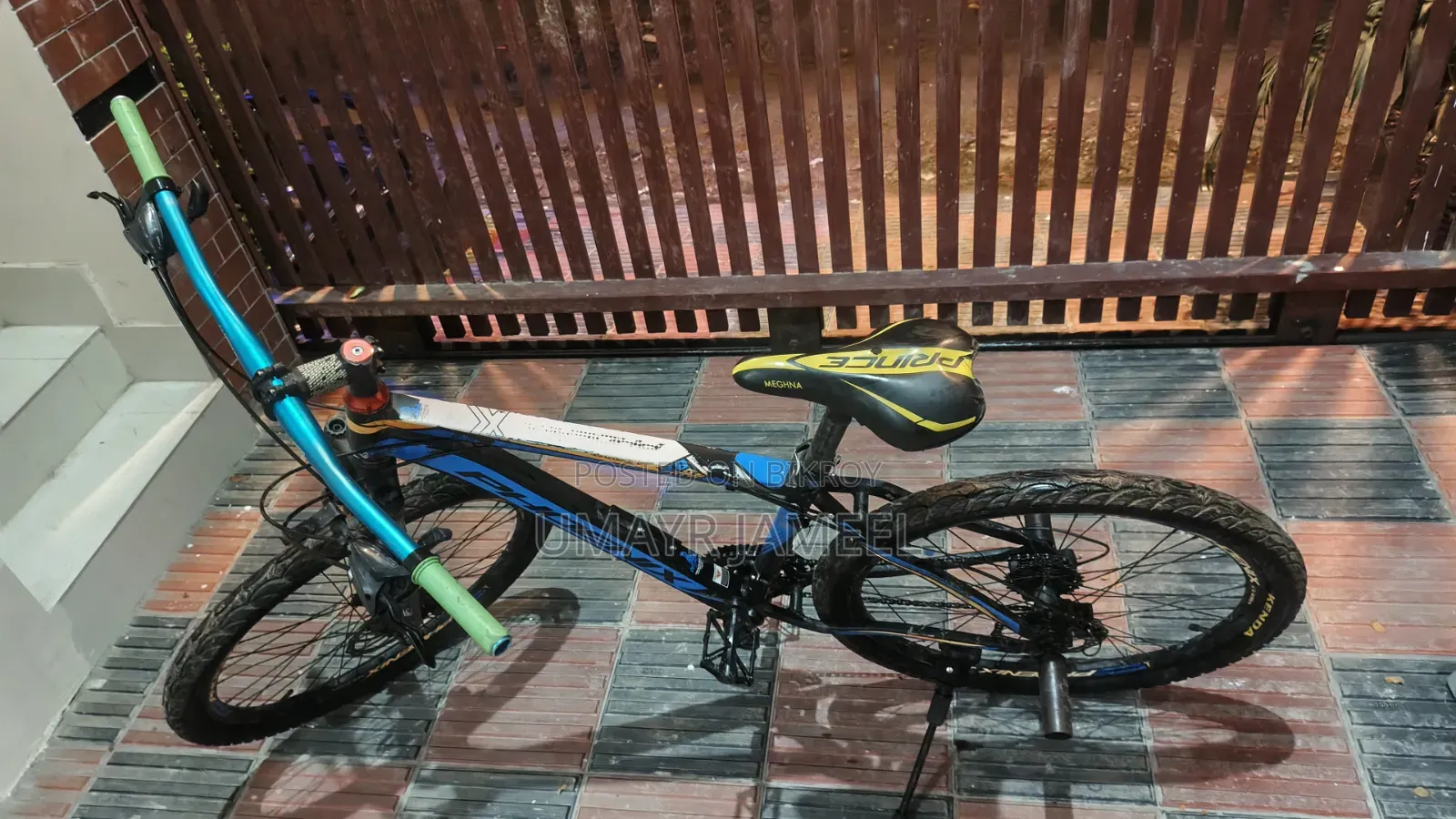 Phoenix Mountain Bike