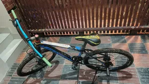 Phoenix Mountain Bike