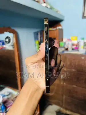 অ্যাপল আইফোন ১২ প্রো ২৫৬ জিবি গোল্ড
