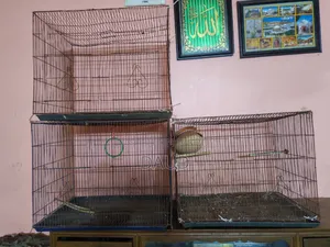Bird Cage