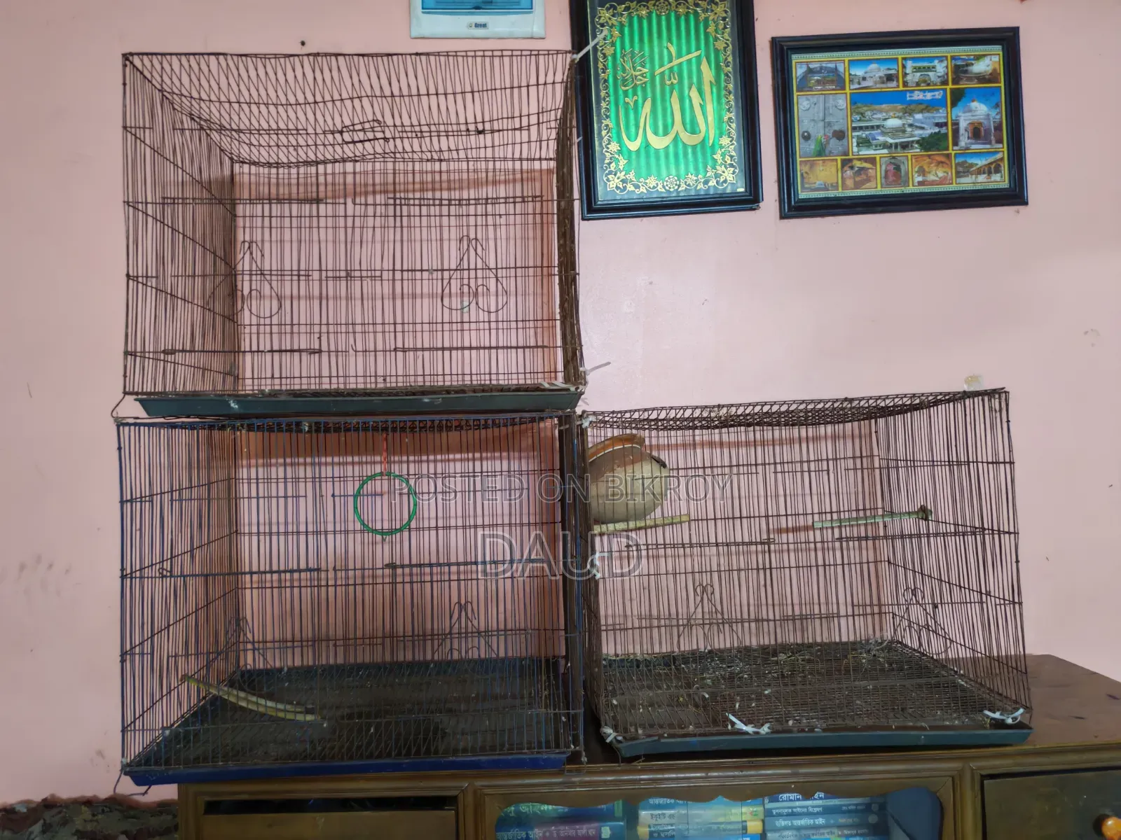 Bird Cage