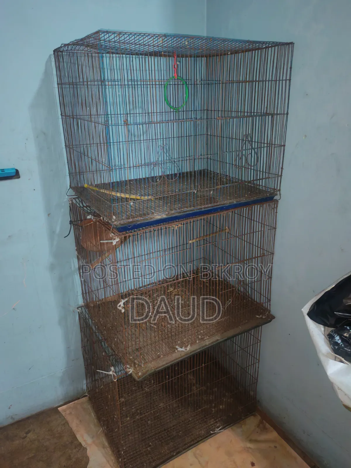 Bird Cage