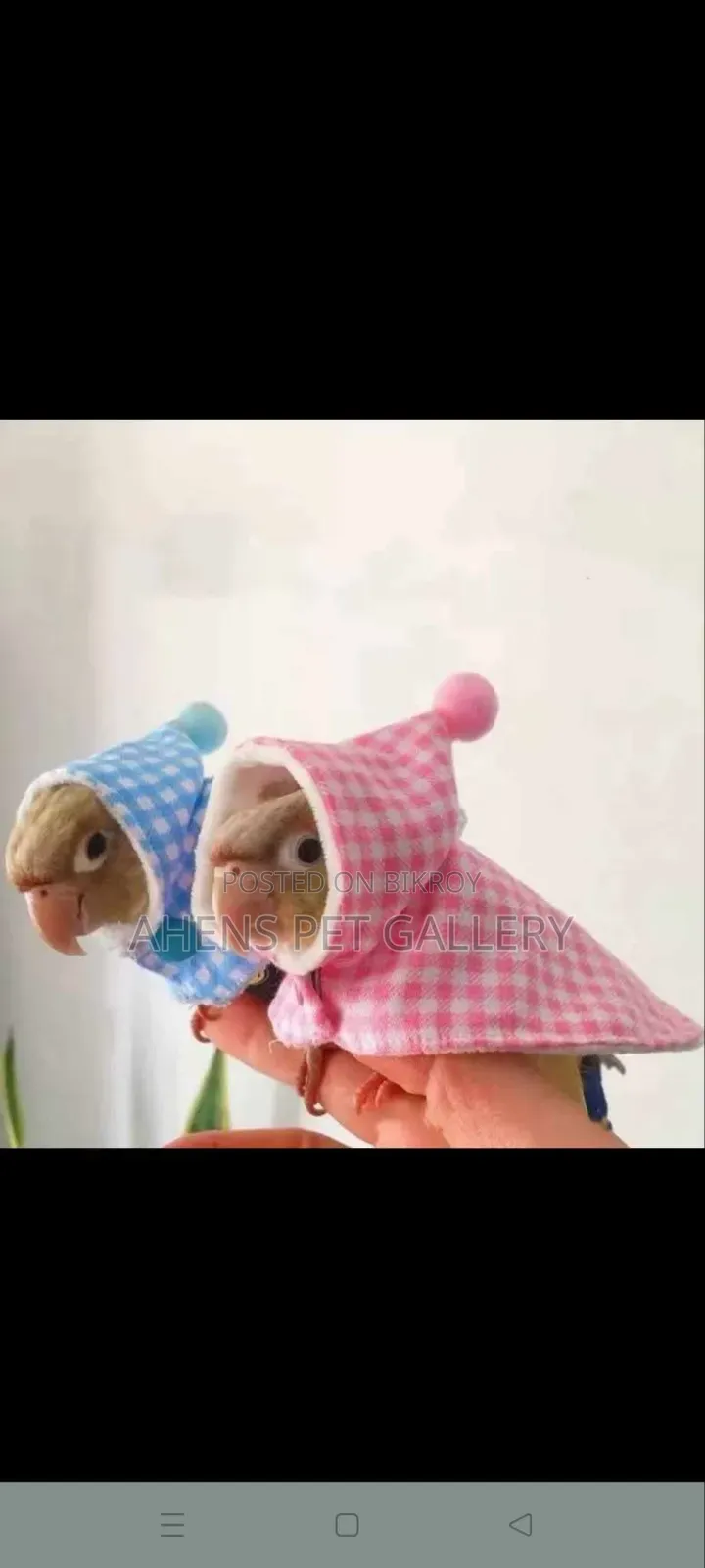 Parrot Warm Cute Hoodie