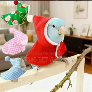 Parrot Warm Cute Hoodie