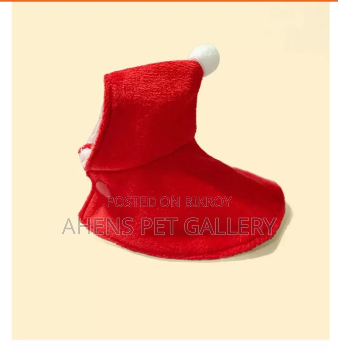 Parrot Warm Cute Hoodie