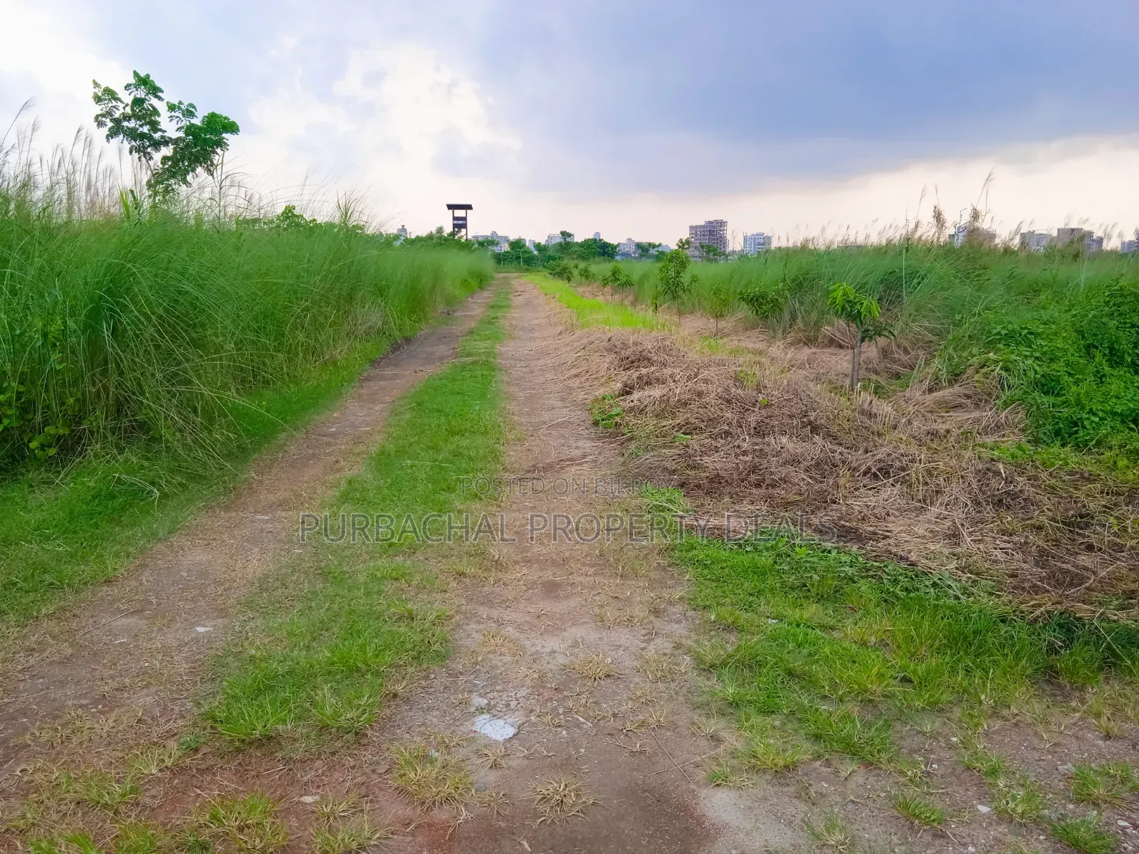 Bashundhara M Block South-facing 4 Katha Premium Plot for Sale