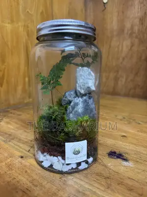 Terrarium Jar Type