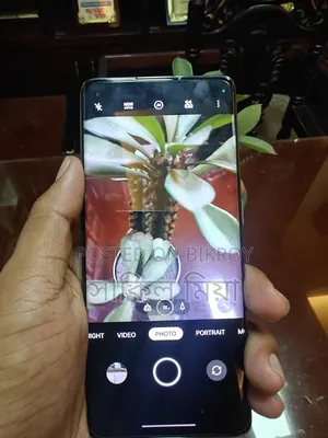 Oppo Reno6 Pro 5G 256 GB White