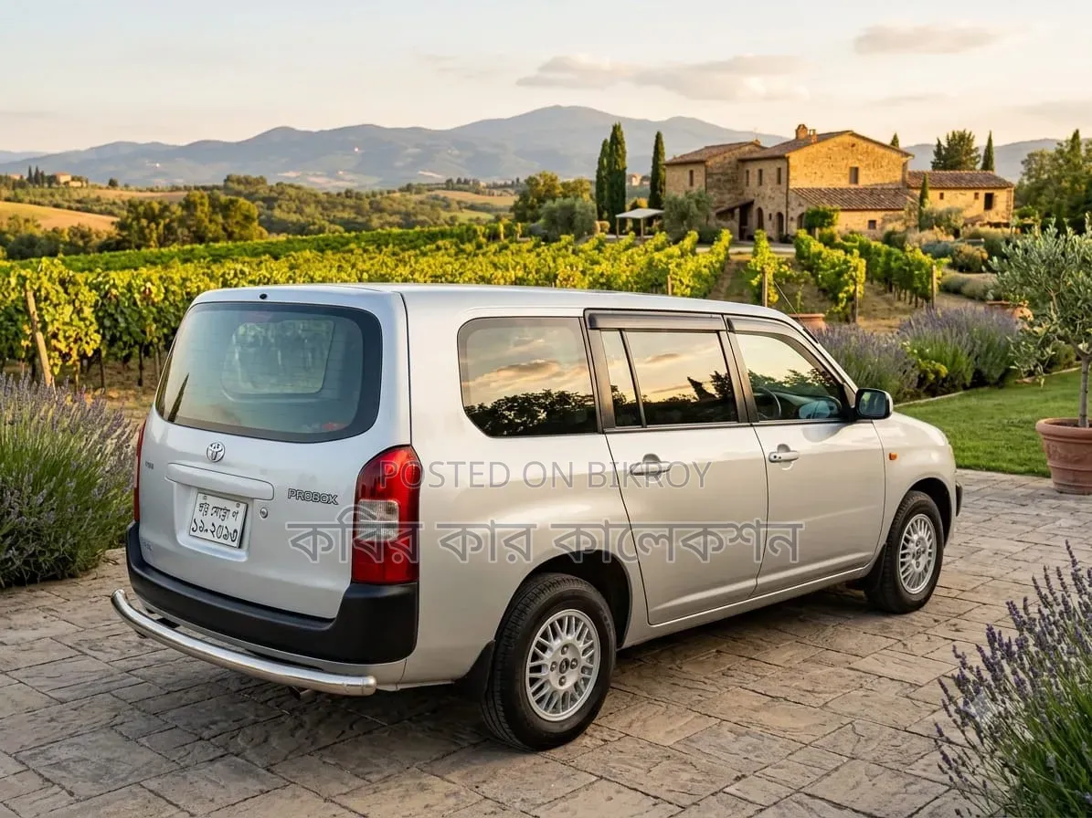 Toyota Probox 2004 Silver