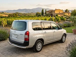 Toyota Probox 2004 Silver