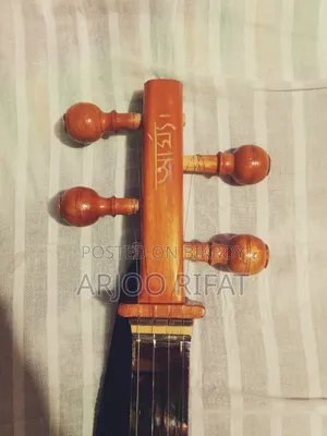 একস্টিক + ইলেক্ট্রিক স্বরাজ