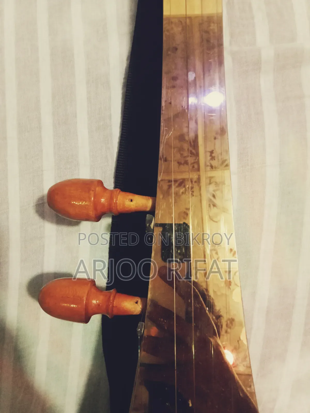 একস্টিক + ইলেক্ট্রিক স্বরাজ