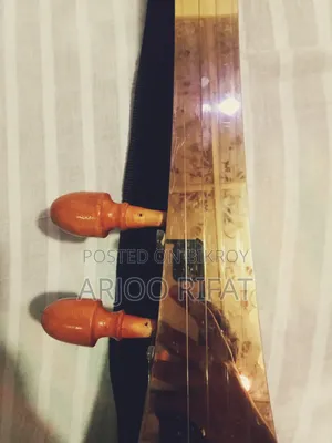 একস্টিক + ইলেক্ট্রিক স্বরাজ