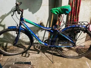 Phonix Bicycle