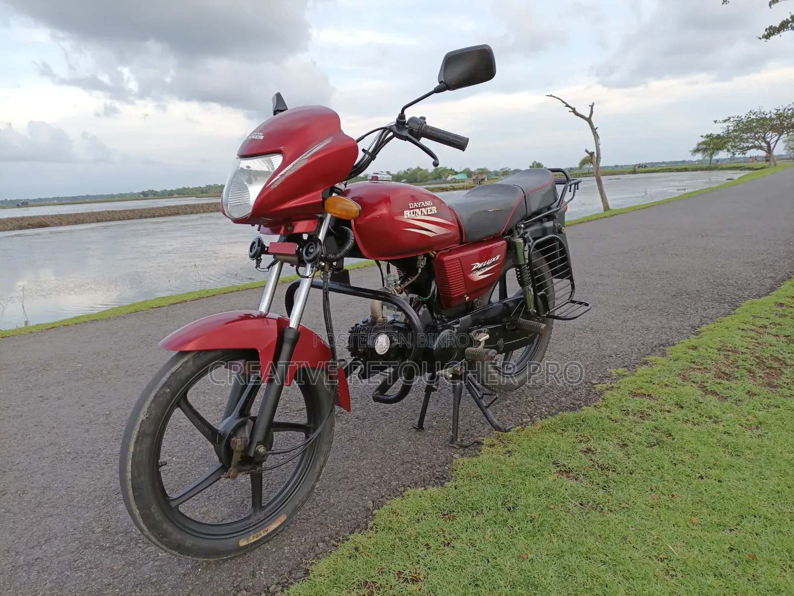 Dayun Sprout 100 2019 Red