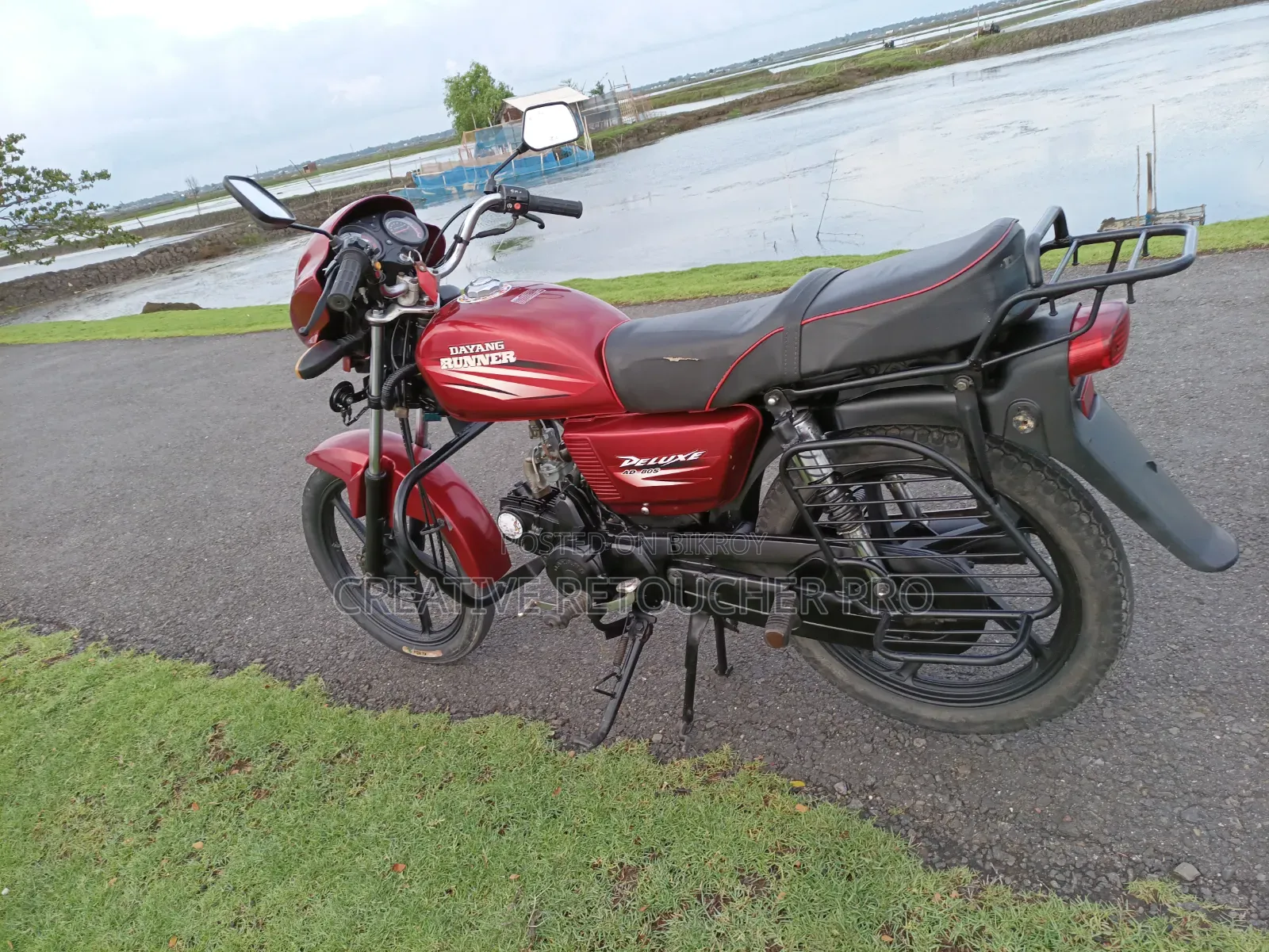 Dayun Sprout 100 2019 Red