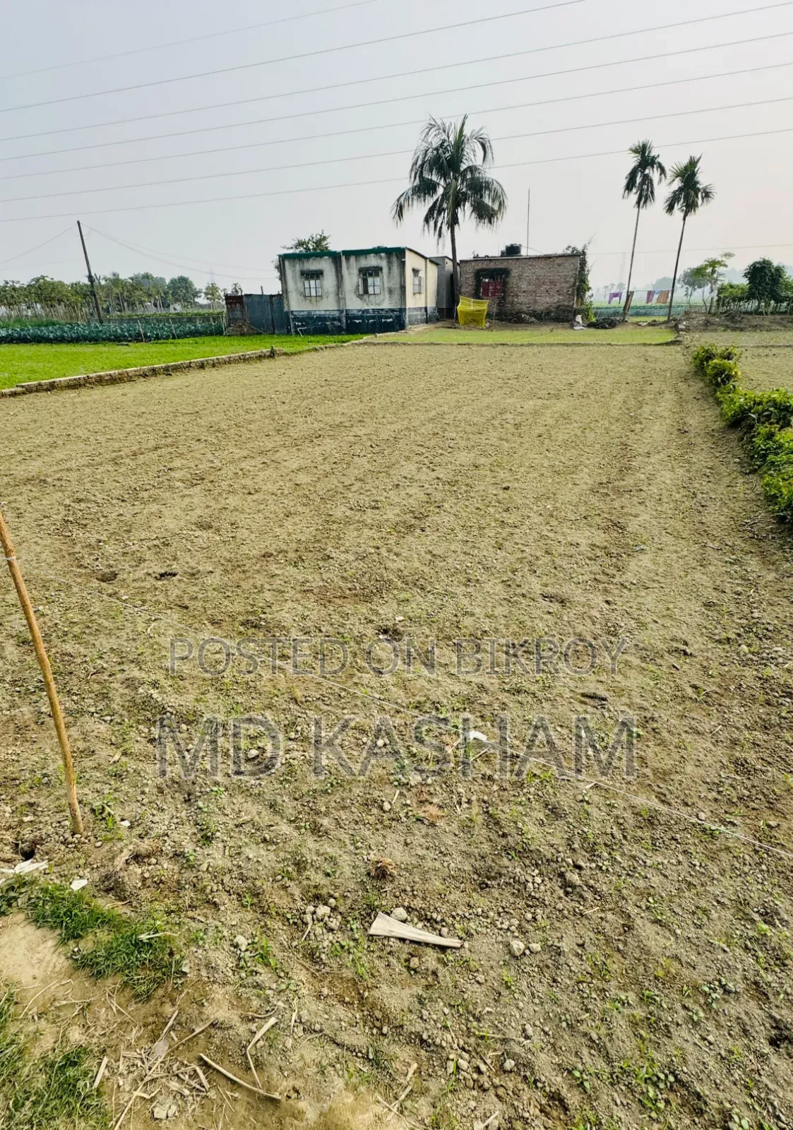 8 decimal land in Hemayetpur Harulia area!!