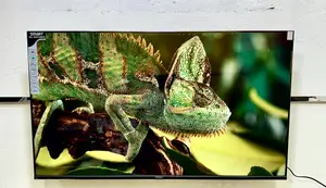 Smart 50 Inch Smart Android Frameless Voice Control TV Full Box