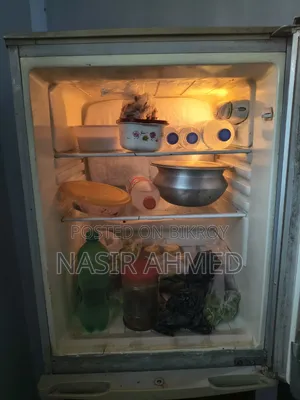 Singer Fridge Running