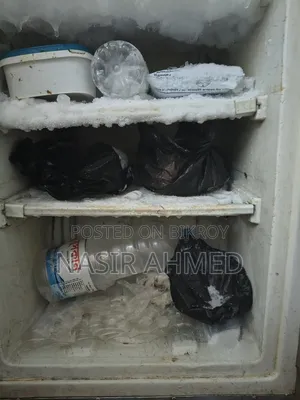 Singer Fridge Running