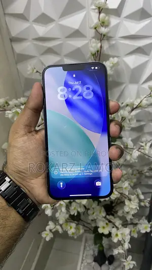 অ্যাপল আইফোন ১৩ প্রো ম্যাক্স ২৫৬ জিবি