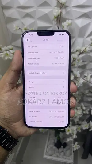 অ্যাপল আইফোন ১৩ প্রো ম্যাক্স ২৫৬ জিবি