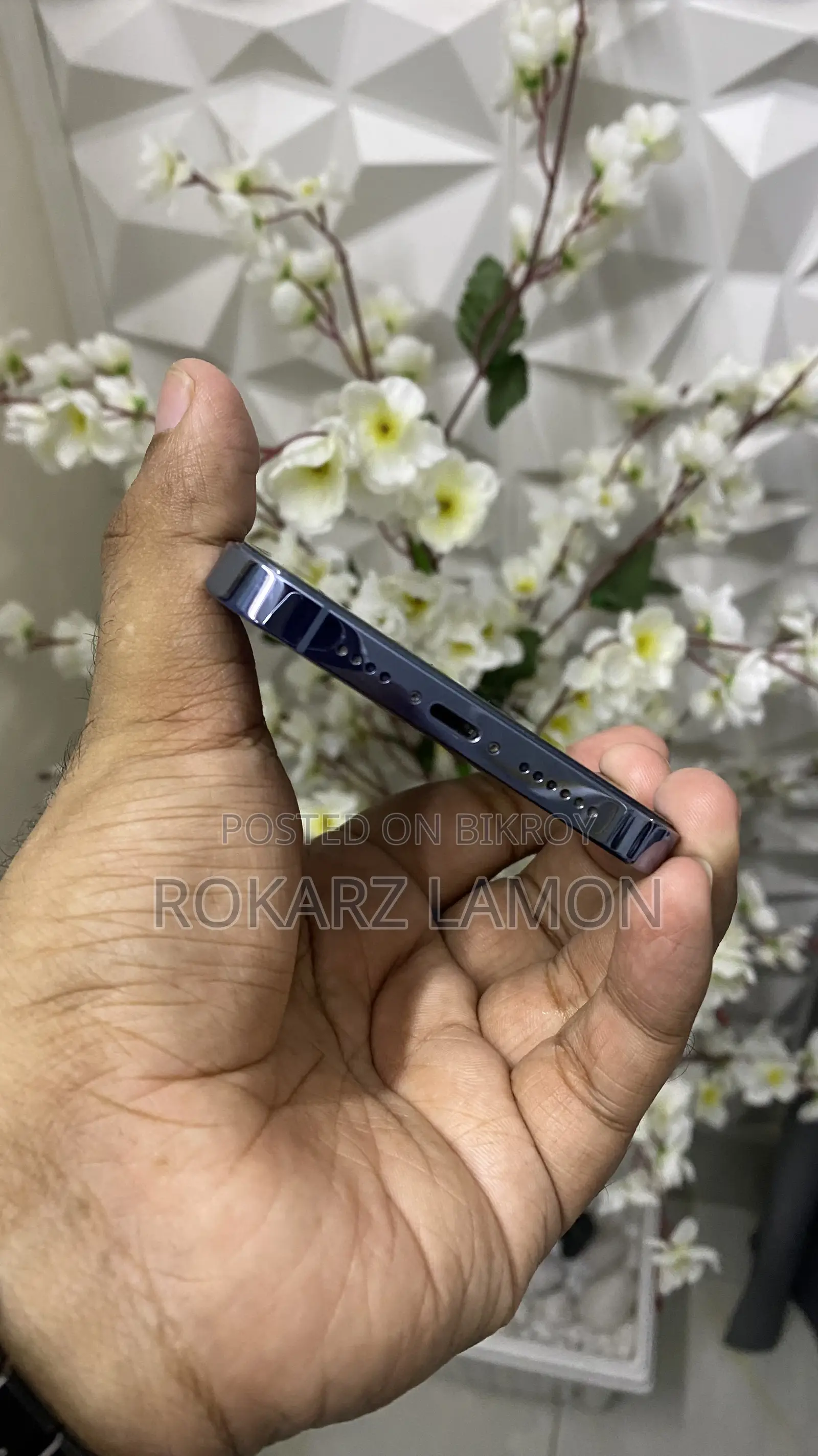 অ্যাপল আইফোন ১৩ প্রো ম্যাক্স ২৫৬ জিবি