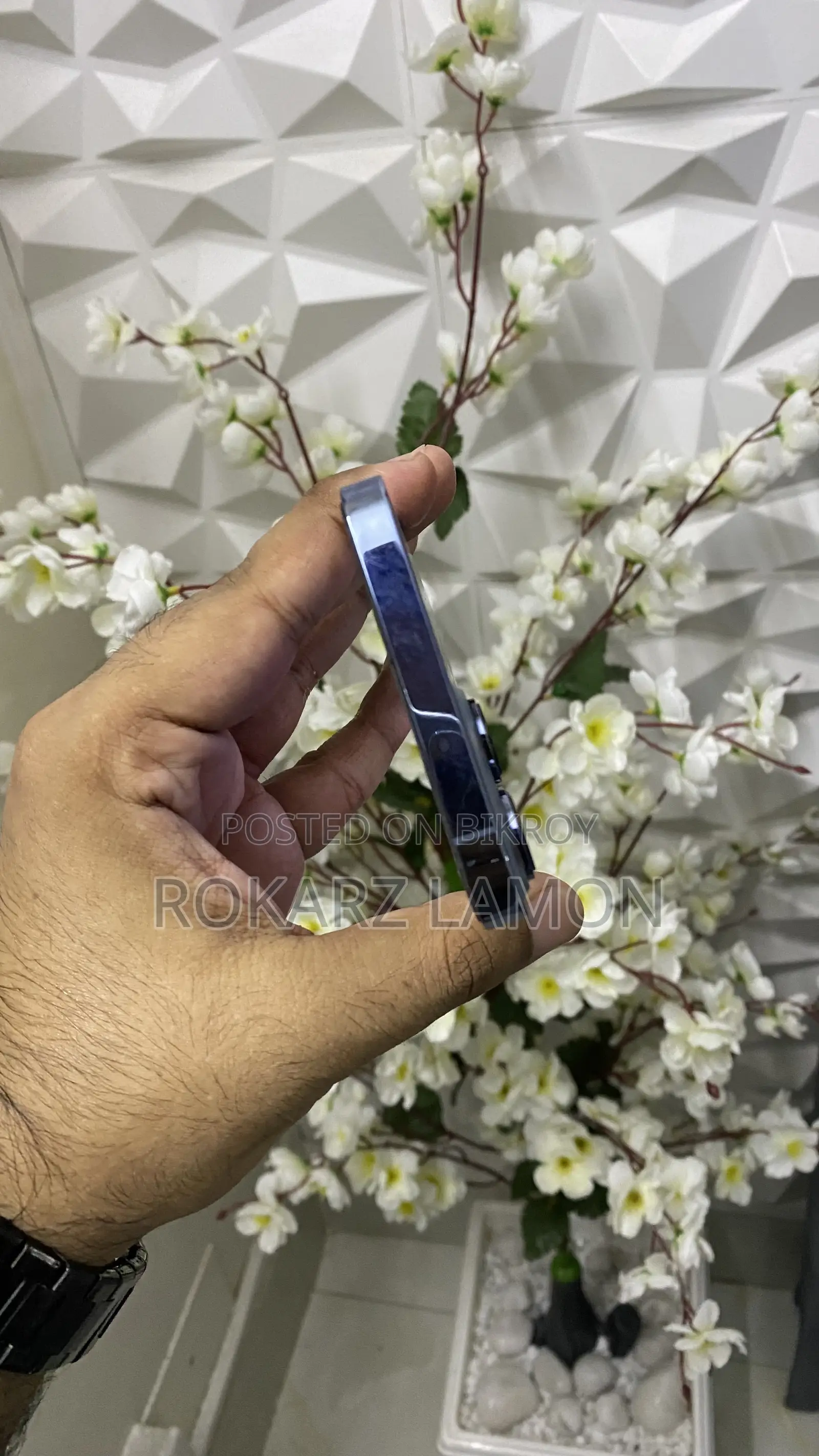অ্যাপল আইফোন ১৩ প্রো ম্যাক্স ২৫৬ জিবি