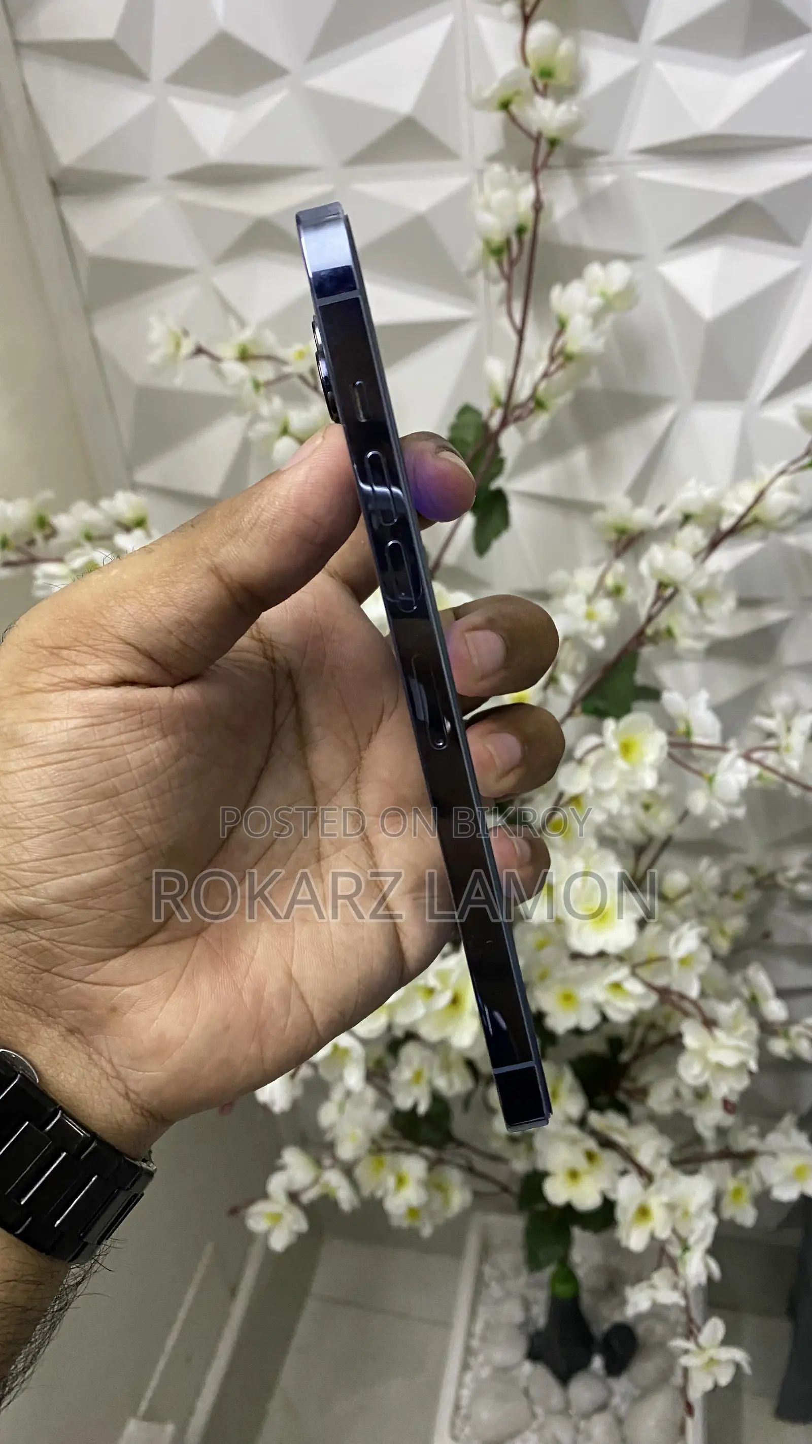 অ্যাপল আইফোন ১৩ প্রো ম্যাক্স ২৫৬ জিবি
