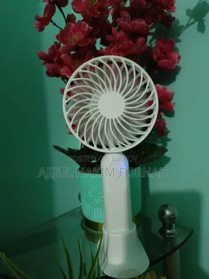 Hand Fans
