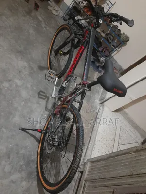 Phone Castom Cycle