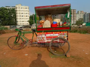 Fuchka Cart for Sale