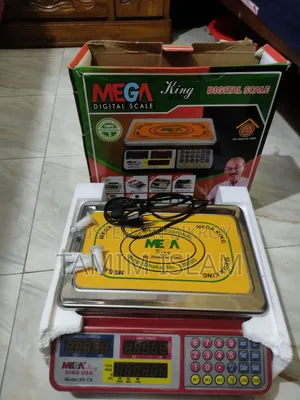 40 Kg Weighing Scale