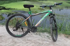 Phoenix Tornado Mountain Bike for Sale (Good Condition)