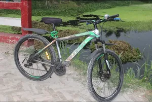 Phoenix Tornado Mountain Bike for Sale (Good Condition)