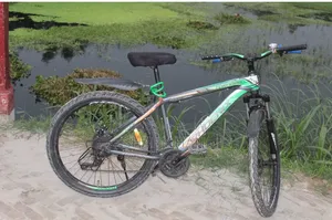 Phoenix Tornado Mountain Bike for Sale (Good Condition)