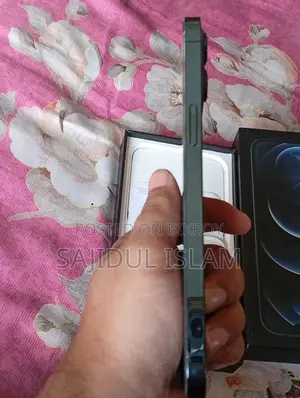 Apple iPhone 12 Pro Max 256 GB Blue