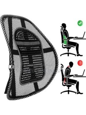 Sit Right Back Chair Support Best Price In Bd