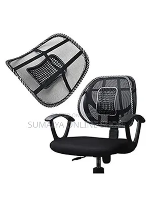Sit Right Back Chair Support Best Price In Bd