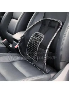Sit Right Back Chair Support Best Price In Bd