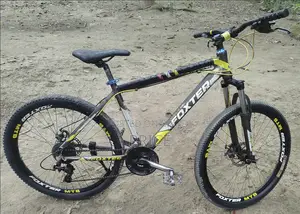 Foxter 2 Gear Cycle