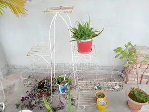 গাছ এবং স্টান সবকিছু বিক্রি করব ফুল সেট