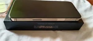 অ্যাপল আইফোন ১৩ প্রো ম্যাক্স ২৫৬ জিবি গোল্ড