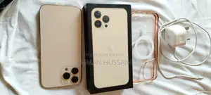 অ্যাপল আইফোন ১৩ প্রো ম্যাক্স ২৫৬ জিবি গোল্ড